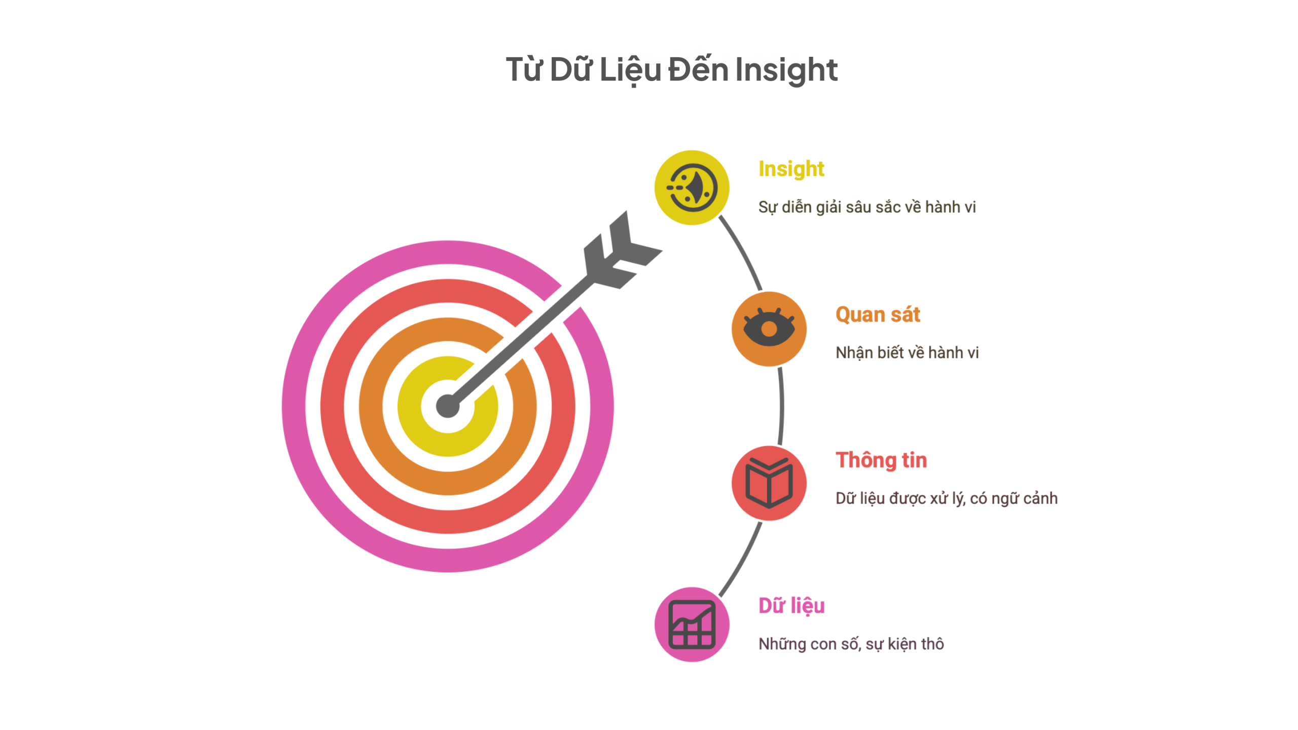 Từ Dữ Liệu Đến Insight