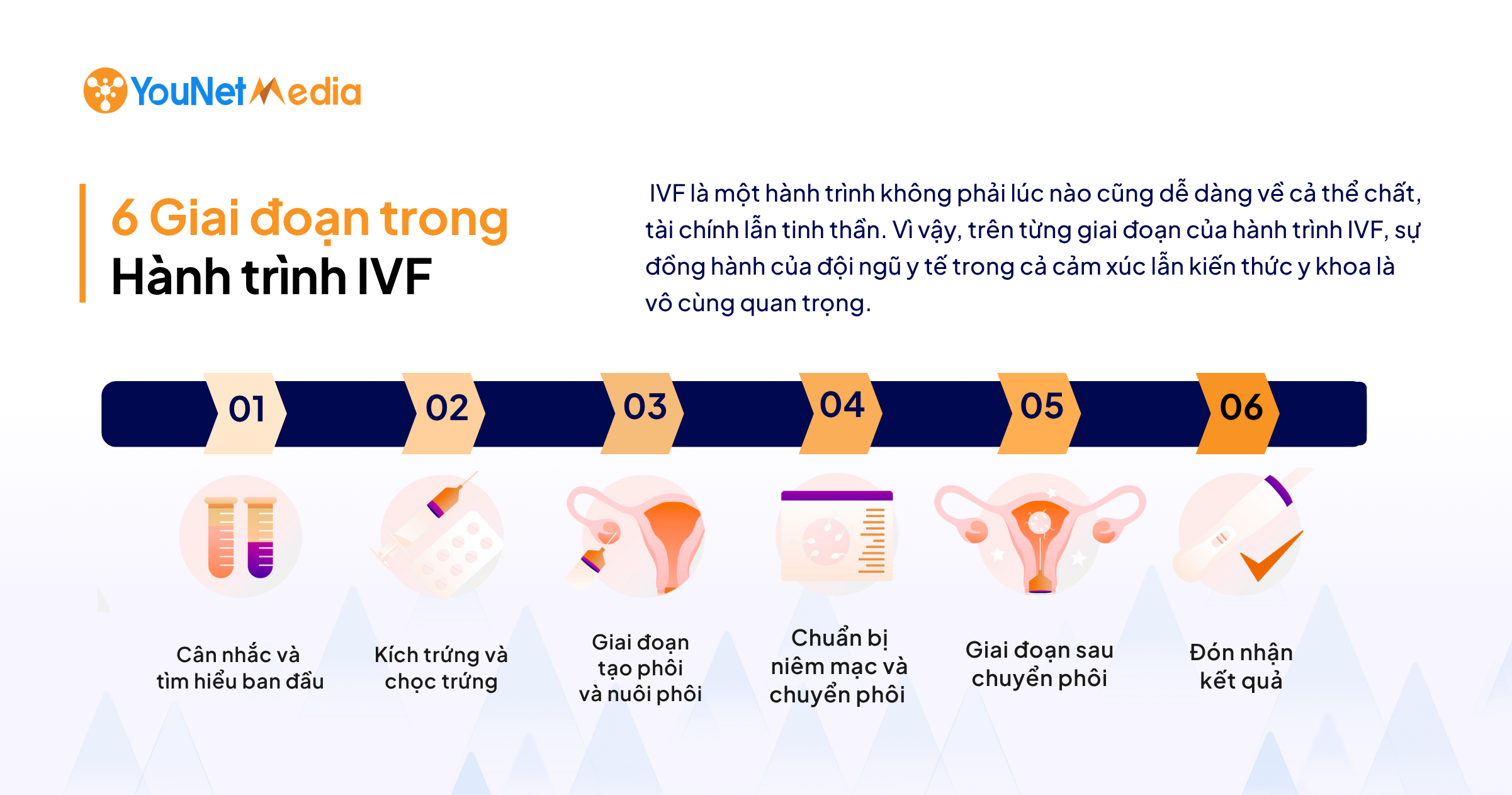 Hành trình tìm kiếm con yêu: 6 giai đoạn IVF làm nên điều kỳ diệu