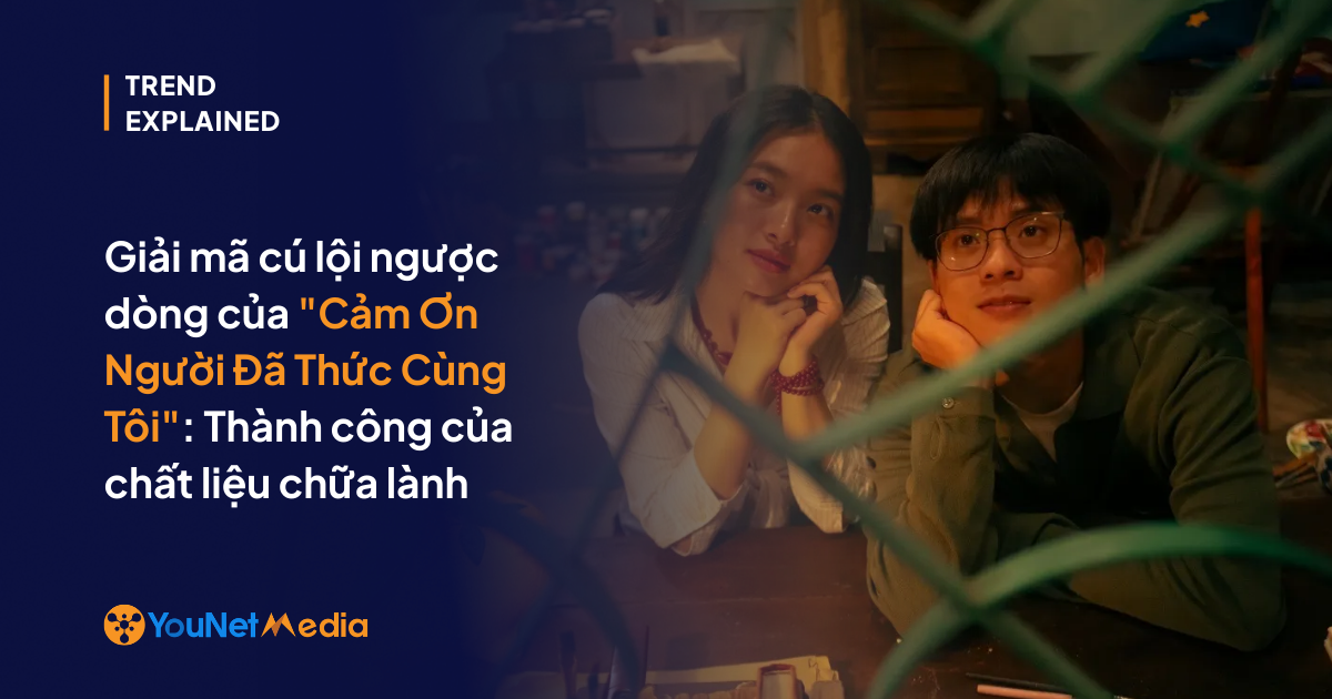 giải mã sức hút của cảm ơn người đã thức cùng tôi